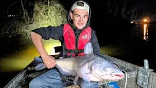 Catching Huge Catfish on Jug Lines at Night! Fried Catfish Po'Boy on the menu!