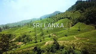 Family Holiday in Sri Lanka with Brothers Tour