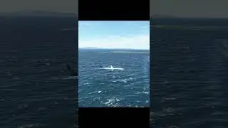 Very Low With Water About To Touch, Air Caraibes B787 Landing On very Dangerous Airport