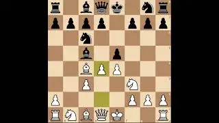 Evans Gambit #shorts