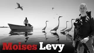 The Timeless Beauty of Moises Levy's Monochrome Seascapes