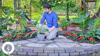 Garden Renovation ~ Flowerbed Makeover