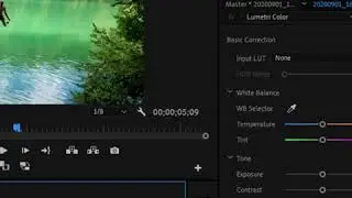 How to freeze Video and Frame Hold Camera Effect in Adobe Premiere Pro in less than 60 seconds