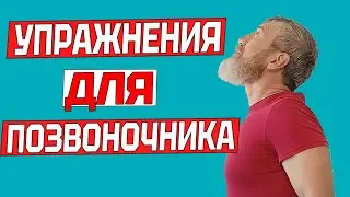 Комплекс упражнений для позвоночника | Профилактика остеохондроза и от болей в позвоночнике и спине