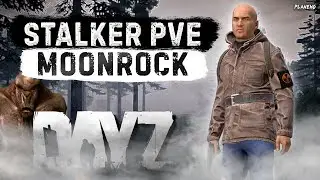 DAYZ STALKER | ОТКРЫТИЕ MOONROCK PVE | СТАРТ БУДЕТ СЛОЖНЫМ? #1