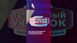 Плантация конопли