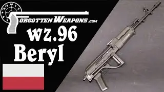 wz.96 Beryl: Polands 5.56mm Military AK