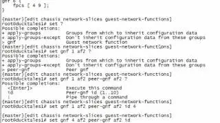 Junos Node Slicing: Abstracted Fabric Interfaces