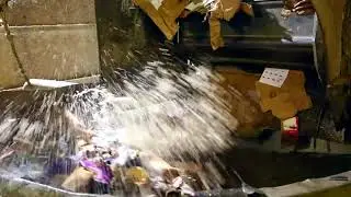 Recycling Paper Pulp | Stock Footage - Envato elements