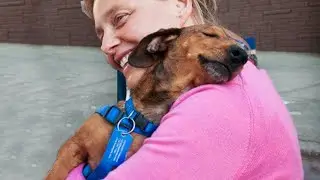 When your dog shows affection and melts your heart! ❤️