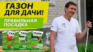 ГАЗОН ДЛЯ ДАЧИ | ПРАВИЛЬНАЯ ПОСАДКА | САДОВЫЙ РАЙ