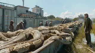 Если Бы Это Видео Не Сняли На Камеру, Никто Бы Точно не Поверил