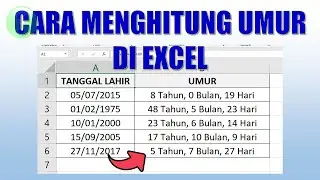 Cara Menghitung Umur di Excel