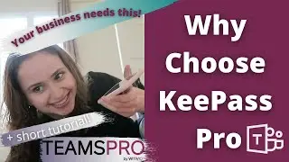 Why You Should Choose KeePass Pro by TeamsPro Witivio!