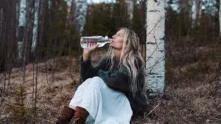 How to tap Birch Sap  | Health benefits & a taste of spring