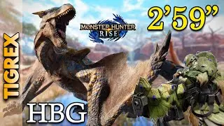 MHRise | HBG Solo 