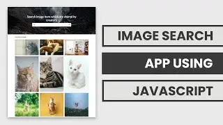 Demo: Image Search App Using Unsplash API | Vanilla JavaScript Project for Beginners