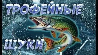 Fishing Planet PS4 # Трофейная щука / Миссии Коллекции Трофеев