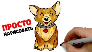 How to draw a Corgi dog | Just drawing a dog | Drawings for sketching