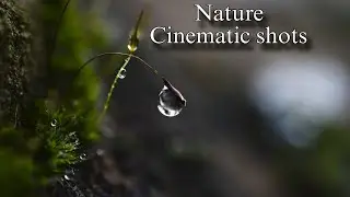 4k Cinematic Video  |4k cinematic shoot with mobile |Natur cinematic|@PJCinematicIdeas