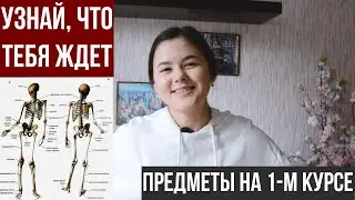 УЧЕБА В МЕДЕ| Предметы на 1 курсе| Медицинская кибернетика и биофизика