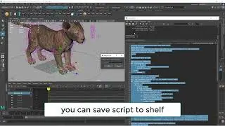 Maya Mirror Animation Script