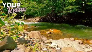 Soothing sounds of a turquoise mountain river without birdsong