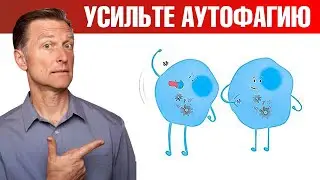 7 способов усилить аутофагию. Кому аутофагия может навредить?😲