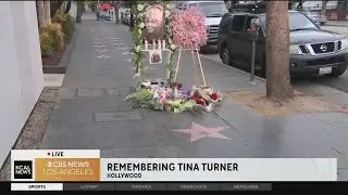 Remembering iconic singer Tina Turner in Hollywood