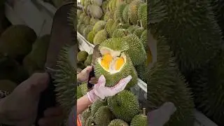 The Most Popular Durian Store in Malacca, Malaysia - Fruit Cutting Skills