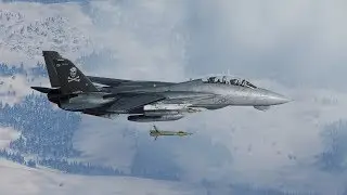 Digital Coalition Air Force Official Live Stream | Top Gun FOLLOWED by F-14 First Impressions