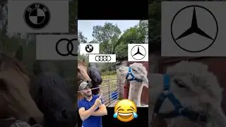 😅 #funnyshorts #funnyvideo #юмор