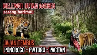 jalan tembus angker Ponorogo Pacitan via Purwantoro