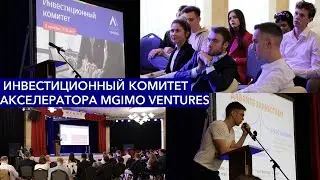 Инвестиционный комитет Акселератора MGIMO Ventures