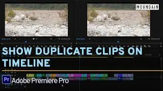 Find duplicate clips on timeline in Premiere Pro 