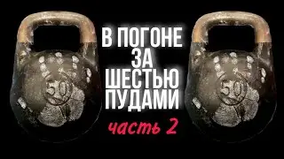 В погоне за шестью пудами.Первая тренировка цикла.(Толчок ,жим лёжа,взятие на грудь)