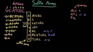 Advanced Data Structures: Suffix Array Search