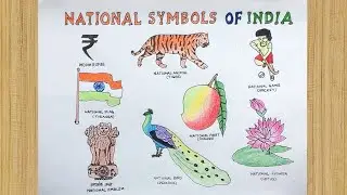 How to Draw National Symbols of India  || National Symbols of India  Drawing Easy 🦚