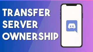 How To Transfer Discord Server Ownership - Full Guide (2023)