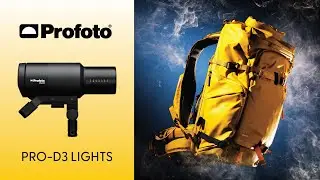 Hands-On Review: Profoto Pro D3 Lighting Kit Unveiled