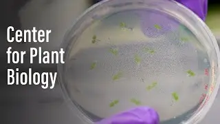 Center for Plant Biology at Purdue University