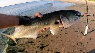 Bunker Bait Fishing - BLUEFISH / KEEPER FLUKE / BIG SAND SHARK with Plenty of Bite Offs