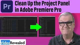 Clean Up The Project Panel in Adobe Premiere Pro