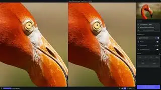 Topaz Short: Using Topaz Photo AI with Adobe Photoshop