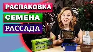 Распаковка семян из интернет-магазина. Моя первая рассада 2022 уже готовится к пикировке.