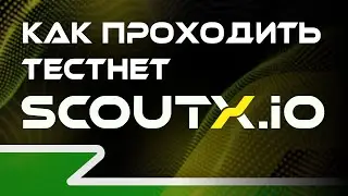 Как проходить тестнет ScoutX