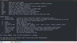 Exploring Docker CLI - Learn How to Use Docker CLI and Its Help (HINDI)