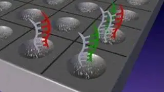 DNA microarrays