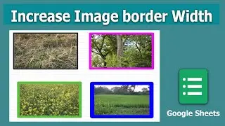 How to Increase Border Width of image in Google Sheets