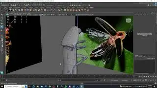 Modeling a Simplified FIREFLY in Autodesk Maya 2024. Part 3: Modeling the Legs.